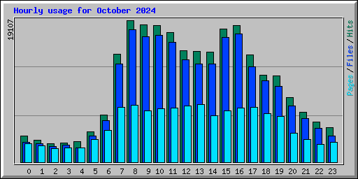 Hourly usage for October 2024